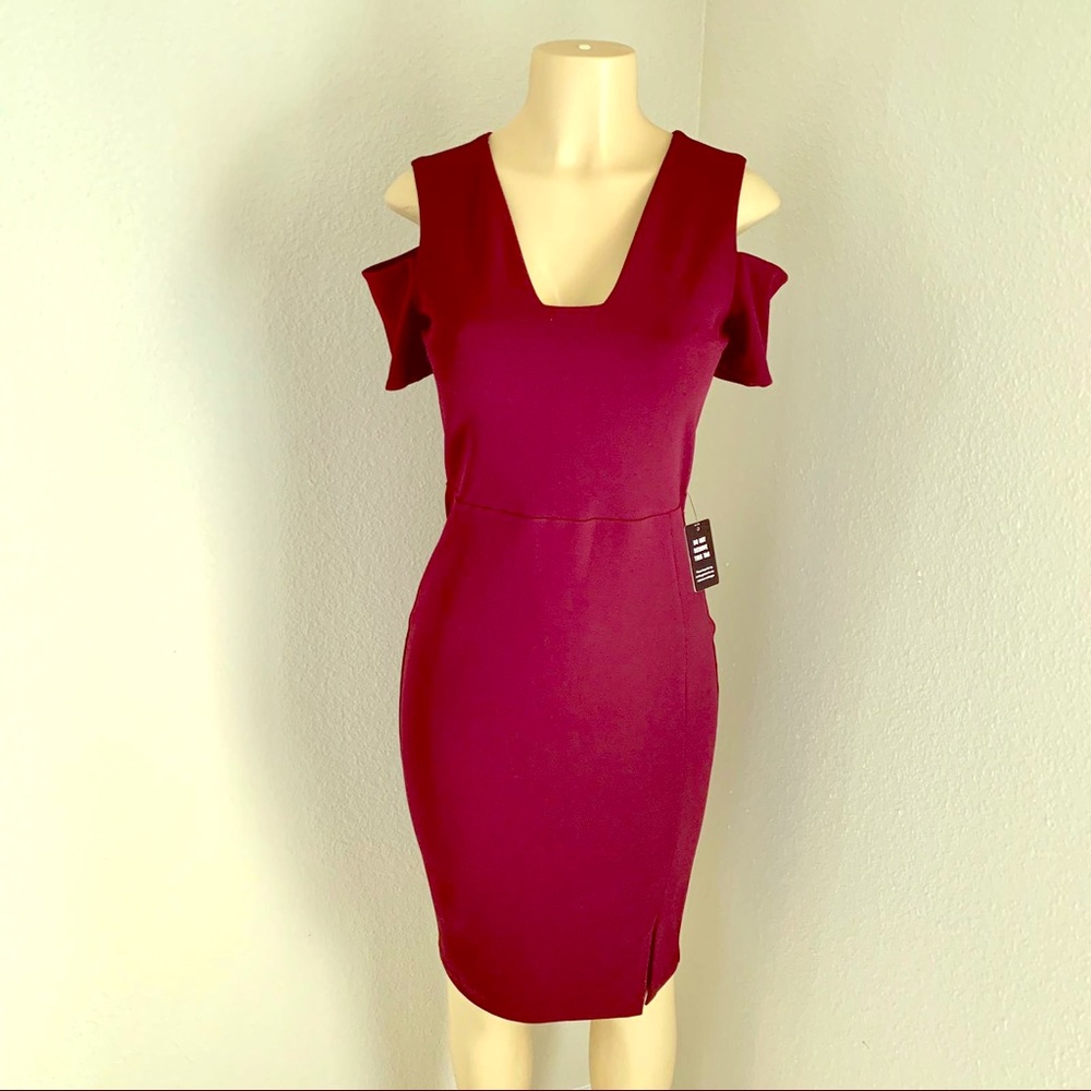 Express Burgundy Dress